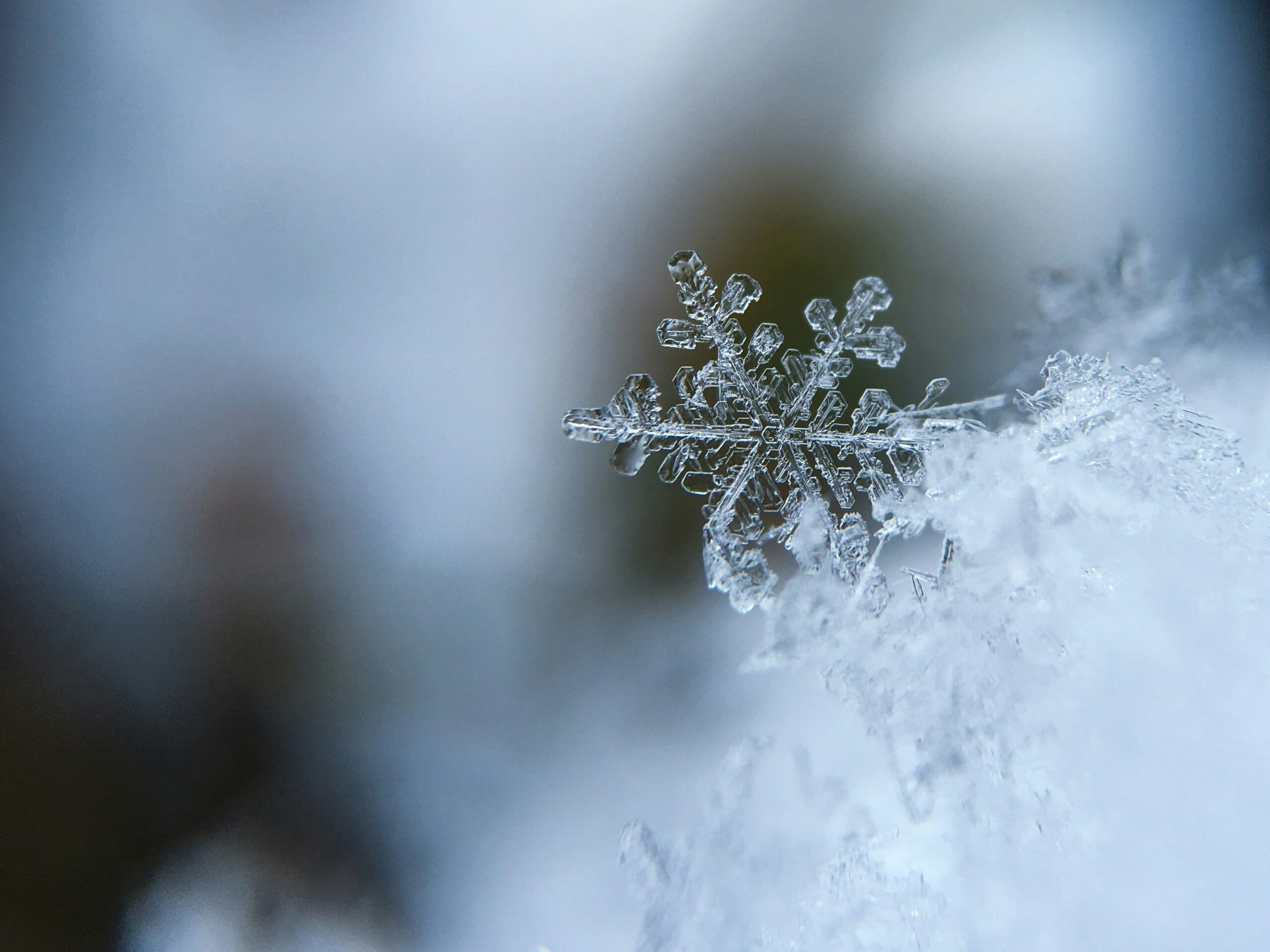 january blues into january joys
